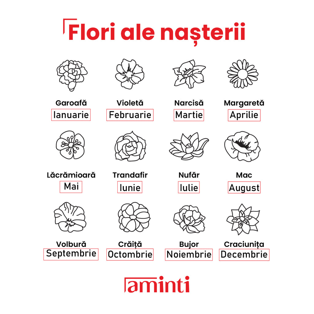 Tablou Naștere Personalizat — Informațiile Magice din Ziua în care S-a Născut 💙💗