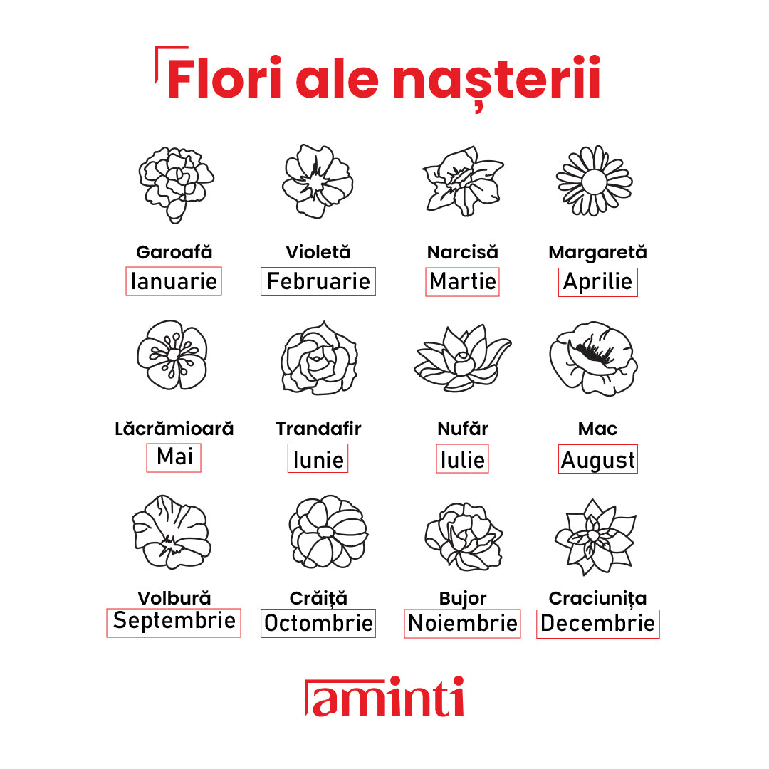 Tablou Naștere Personalizat — Informațiile Magice din Ziua în care S-a Născut 💙💗